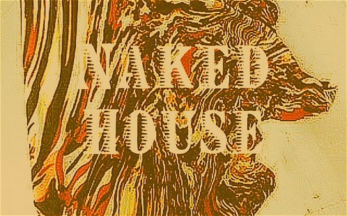 Naked House
