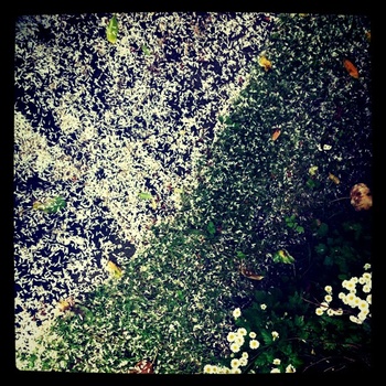 Remixed Mountain Range Dazed With Sun&nbsp;Glitters