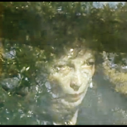 The Fabulous Fairies