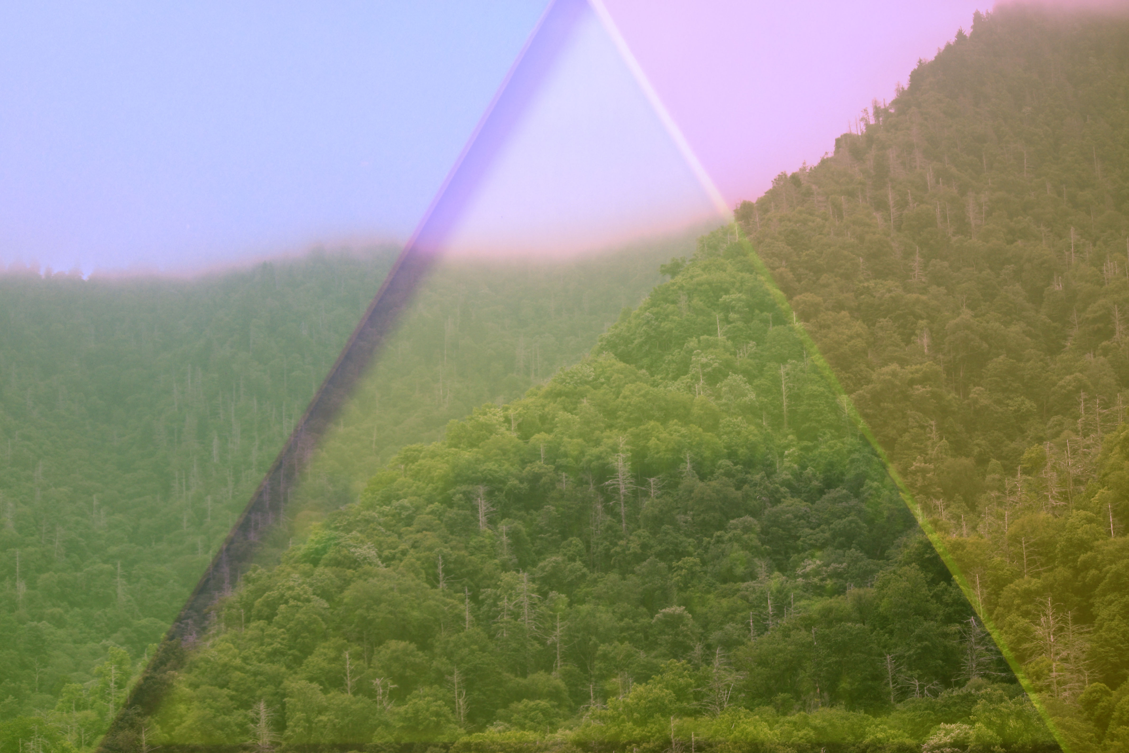 BACKGROUND-LOGO-NO-TEXT