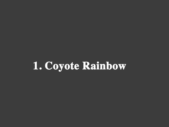 Coyote Rainbow
